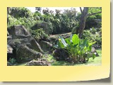 20101019013 Cote Sud