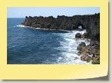 20101019016 Cote Sud