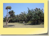 20101019030 Cote Sud