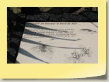 20101019031 Cote Sud