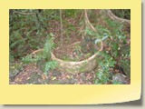 20101019051 Cote Sud
