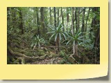 20101019057 Cote Sud