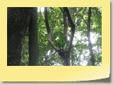 20101019058 Cote Sud