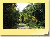 20101019060 Cote Sud