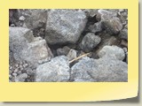 20101019068 Cote Sud