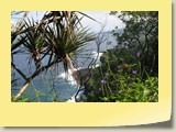 20101019082 Cote Sud