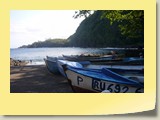 20101019085 Cote Sud