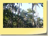 20101019087 Cote Sud