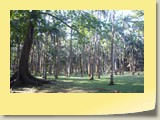 20101019088 Cote Sud