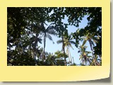 20101019089 Cote Sud