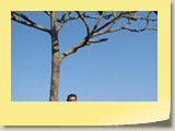 20101019090 Cote Sud