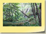 20101019094 Cote Sud