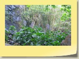 20101019099 Cote Sud