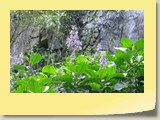 20101019100 Cote Sud