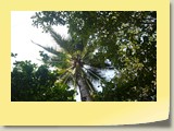 20101019101 Cote Sud