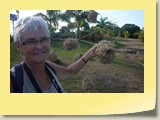 20101019106 Cote Sud