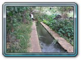20101005019 Cote Ouest ML