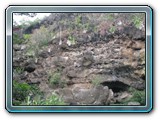 20101005020 Cote Ouest ML
