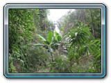 20101005025 Cote Ouest ML