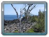 20101005050 Cote Ouest ML