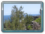 20101005051 Cote Ouest ML