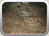 20101024017 Sentier des Ravenales