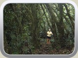20101024024 Sentier des Ravenales