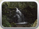20101024025 Sentier des Ravenales