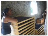 20101026522 Domaine du Grand Hazier
