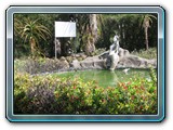 021 Vegetation 