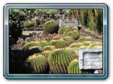 022 Vegetation 