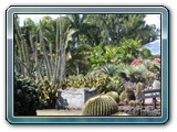 025 Vegetation 