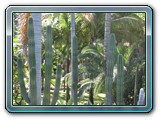 027 Vegetation 
