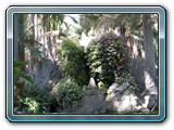 038 Vegetation 
