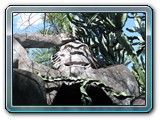 040 Vegetation 