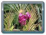 042 Vegetation 