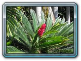 048 Vegetation 