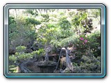 050 Vegetation 