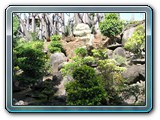 051 Vegetation 