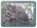 102 Vegetation 