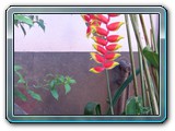 110 Vegetation 