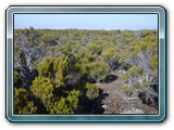 142 Vegetation 