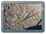 143 Vegetation 