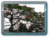 149 Vegetation 