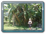 171 Vegetation 